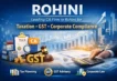 Chartered Accountant in Rohini