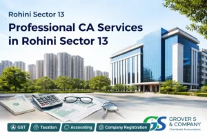 Professional CA Services in Rohini Sector 13